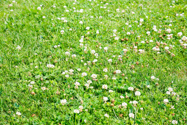 Similar image 17242620