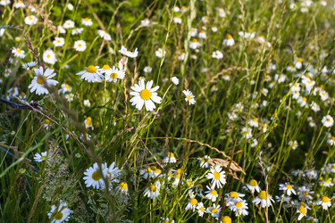 Similar image 17242683