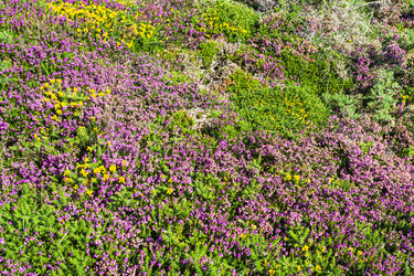 Similar image 17242706