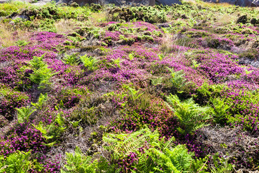 Similar image 17242721