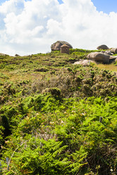 Similar image 17242761