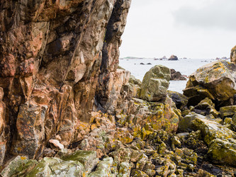 Similar image 17243004