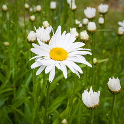 Similar image 17243041