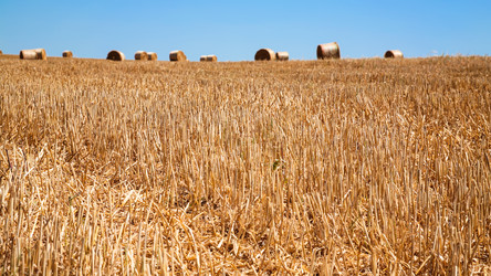 Similar image 17243143