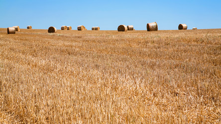 Similar image 17243160