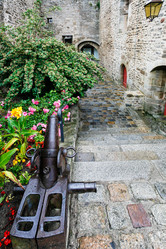 Similar image 17242083