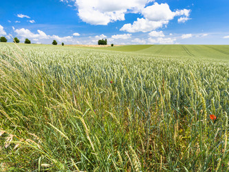 Similar image 17242361