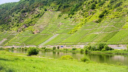 Similar image 17242362