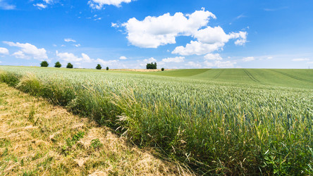 Similar image 17242363