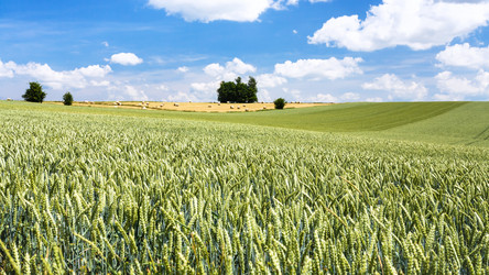 Similar image 17242384