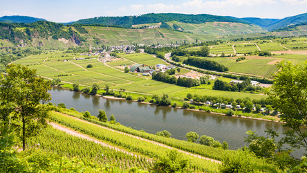 Similar image 17242403