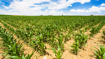 Similar image 17242404