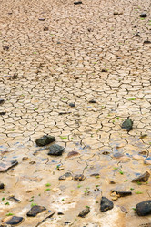 Similar image 17242600