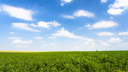 Similar image 17242684