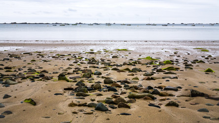 Similar image 17242685