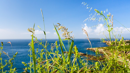 Similar image 17242740