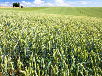 Similar image 17242883