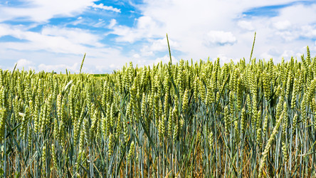 Similar image 17242885