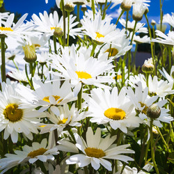 Similar image 17242906