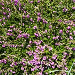 Similar image 17242946