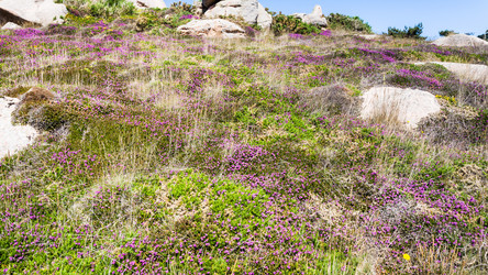 Similar image 17243014