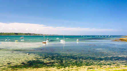 Similar image 17243096