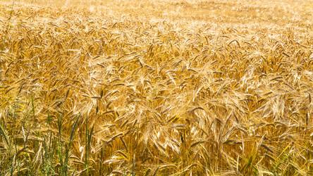 Similar image 17243166