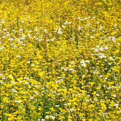 Similar image 17243250