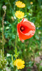 Similar image 17243262