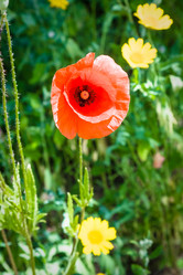 Similar image 17243278