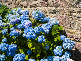 Similar image 17243281