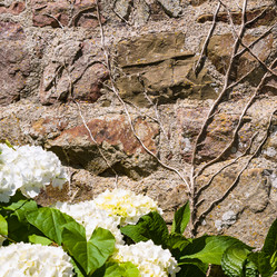 Similar image 17243285