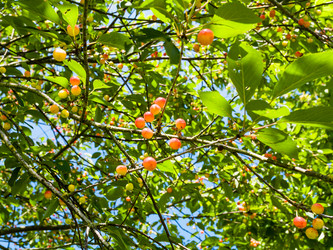 Similar image 17243392