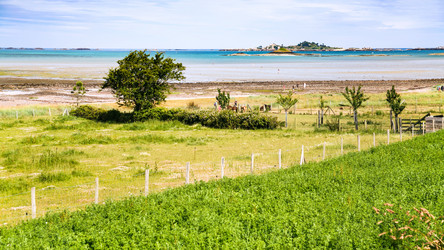 Similar image 17242126