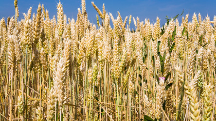 Similar image 17242319