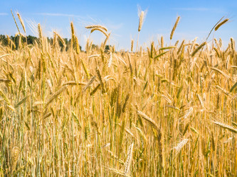 Similar image 17242320