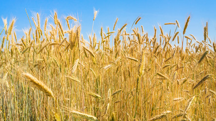 Similar image 17242322