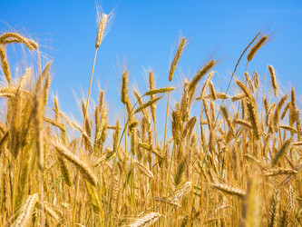 Similar image 17242325