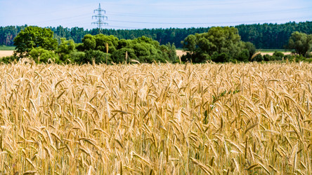 Similar image 17242345