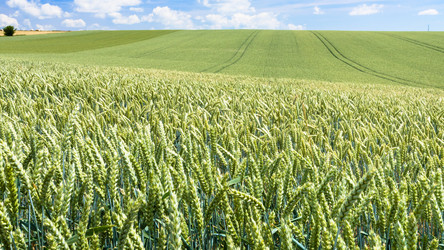 Similar image 17242386