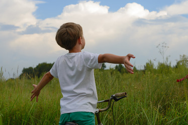 Similar image 16633593