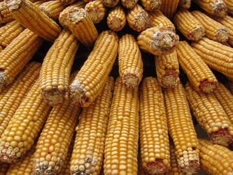 Similar image 16927175