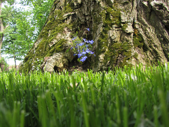 Similar image 16927158