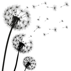 Similar image 17247371