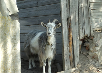 Similar image 16924057