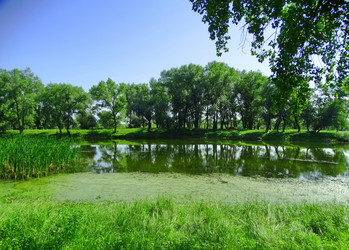 Similar image 16927634