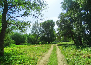 Similar image 16927671