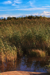 Similar image 16925644