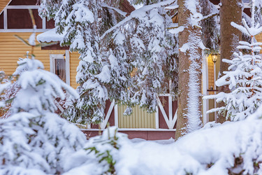 Similar image 16925653