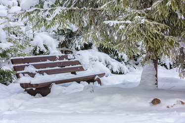 Similar image 16925663